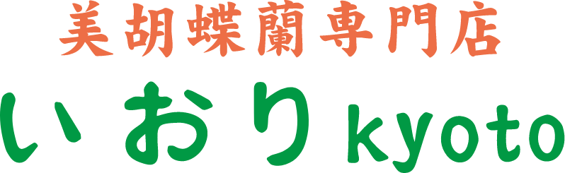 美胡蝶蘭専門店 いおりkyoto